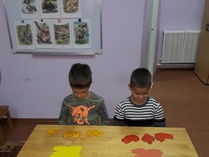 Resize-of-20171129_115712