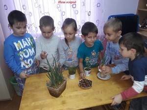 Resize-of-20171129_120400