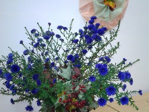 Resize-of-20161027_070223