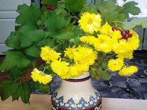 Resize-of-20161027_080237