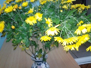 Resize-of-20161027_081828