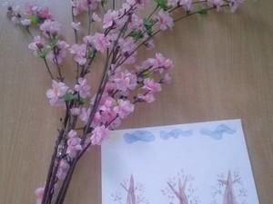 cam03572