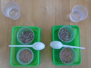 resize-of-20170403_100305
