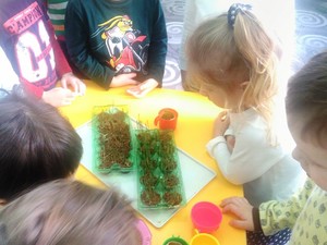 Resize-of-IMG_20180405_110650