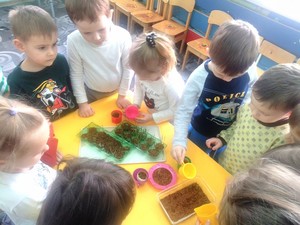 Resize-of-IMG_20180405_110751