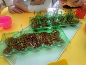 Resize-of-IMG_20180405_110927