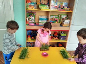 Resize-of-IMG_20180413_095429