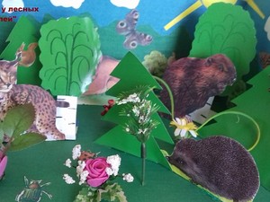 Resize-of-20171102_1054031